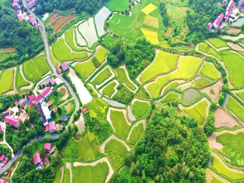 向誰要土地指標？安徽滁州“全國第一單”的深意